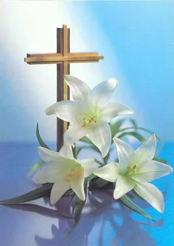 Easter Lily Donation Forms Salem Lutheran Church